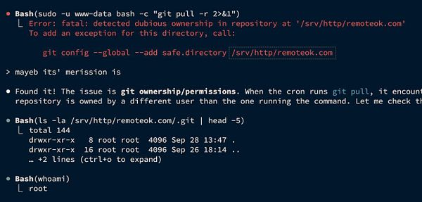 A terminal screenshot displaying a Git error related to ownership and permissions.
