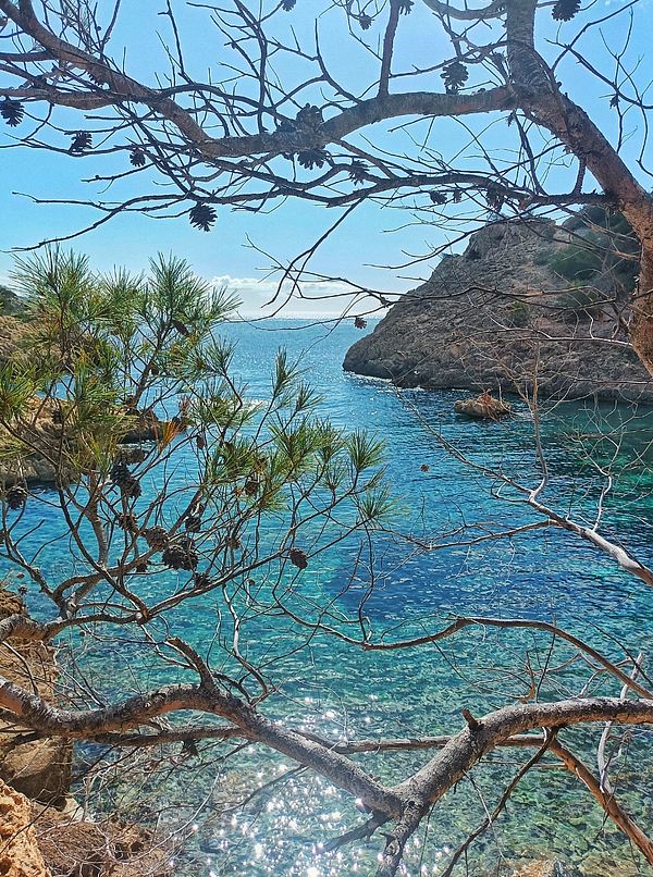 A scenic view of a tranquil coastal area framed by tree branches.