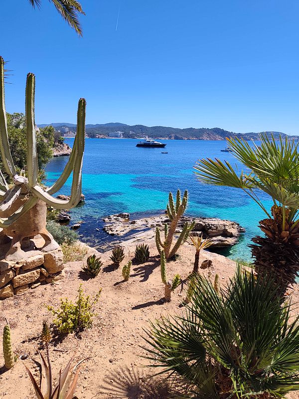 A sunny beach scene with a clear blue sky, golden sand, gentle ocean waves, and a large palm tree in the foreground.
