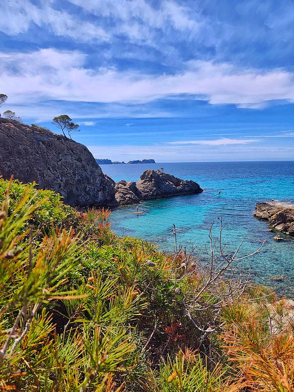 Mother and child walking hand-in-hand on green grass under warm sunlight.
