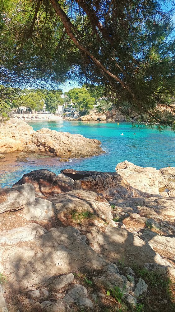 A scenic view of a tranquil beach area framed by trees and rocky terrain.
