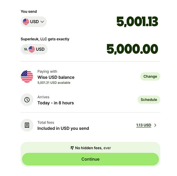 The image displays a payment interface for sending money via Wise.