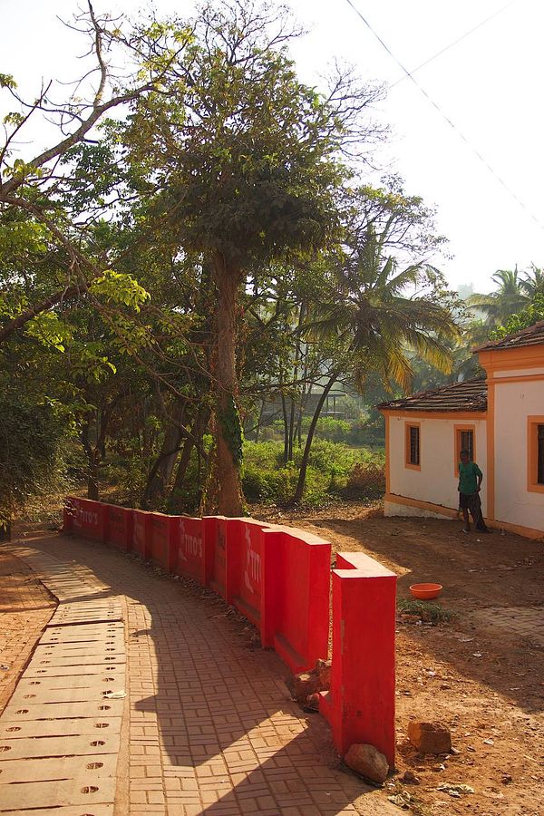 A scenic view of a pathway leading to a white building surrounded by greenery in Goa.