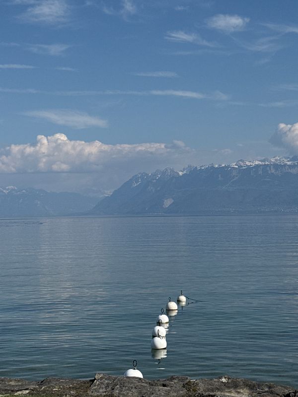 A serene lake view with white buoys and mountains in the background.