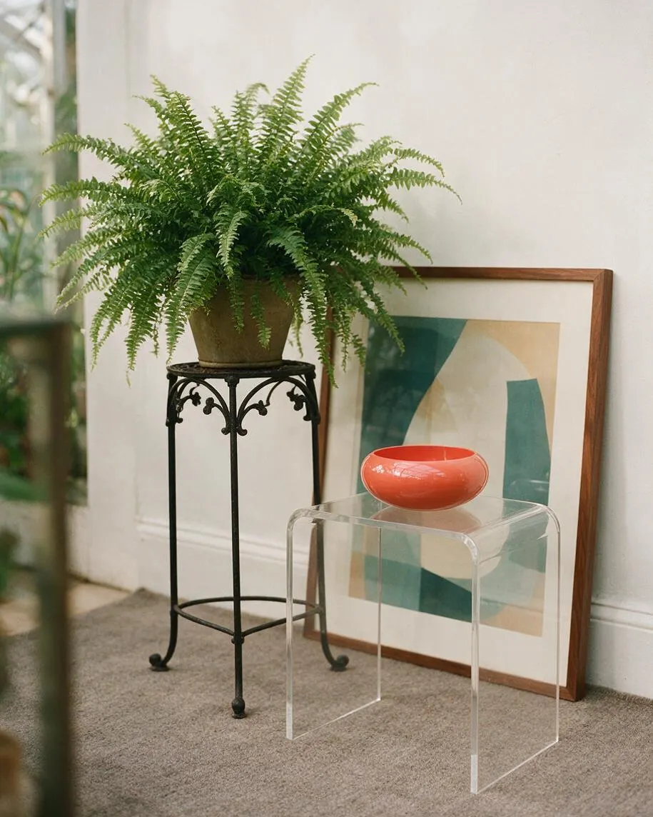 A styled interior vignette features a lush fern in a terracotta pot on a black wrought iron stand, next to a framed abstract print leaning against a white wall. In front sits a clear lucite stool holding a glossy coral bowl, all arranged on a neutral carpet.