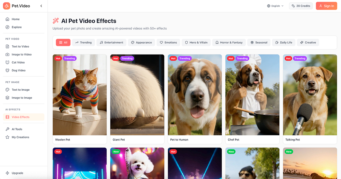 Pet Video