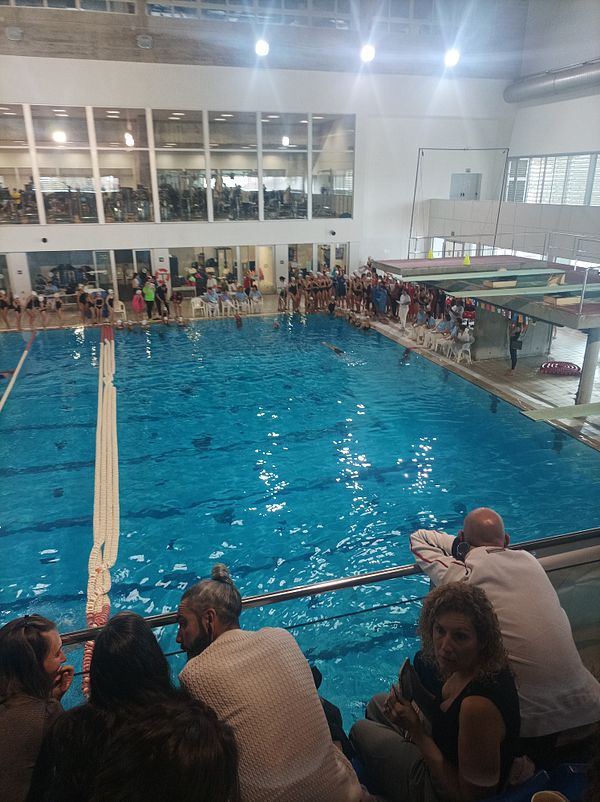 A vibrant scene from a synchronized swimming competition with spectators and participants.