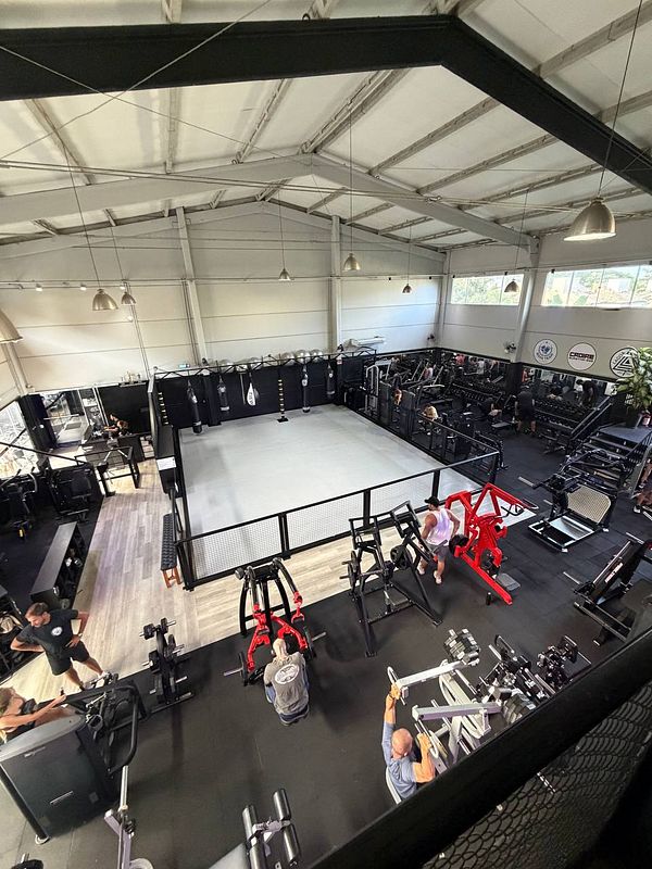 A modern gym interior featuring large windows with a view of tropical greenery and a statue, resembling gyms in Koh Samui and Brazil.