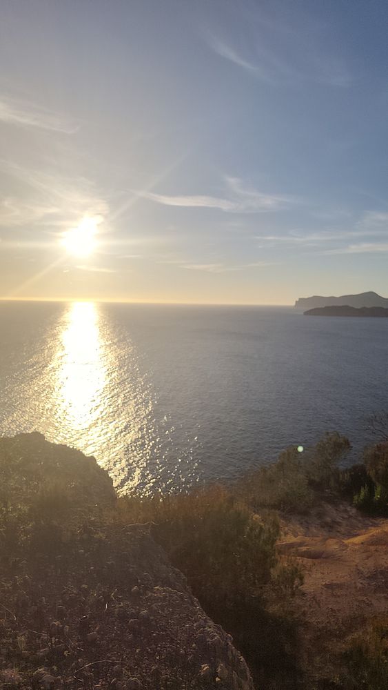 A narrow dirt trail running through a dense green forest with fresh leaves and sunlight filtering through the branches.