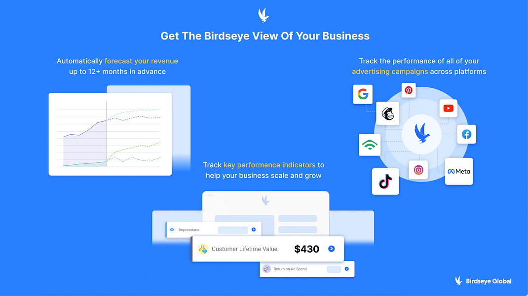 BirdsAI Marketing