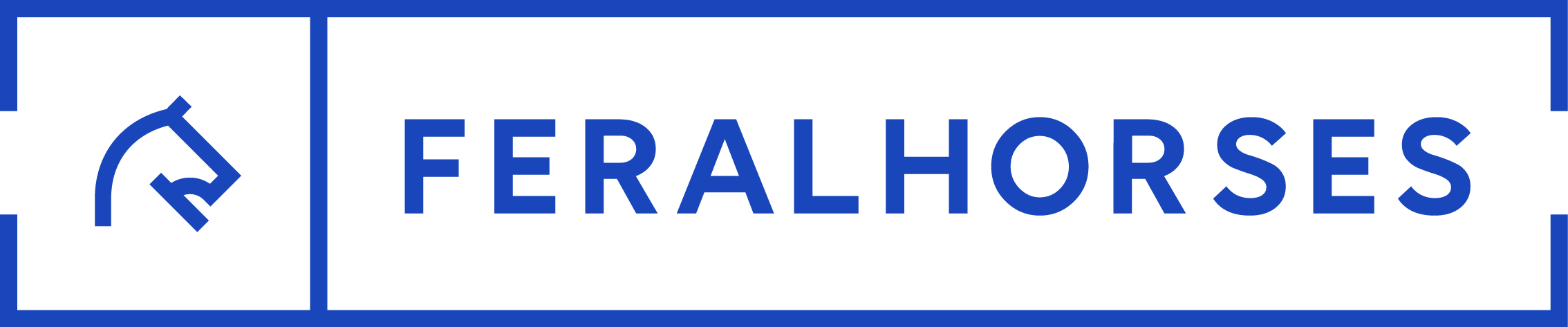 Feral Horses