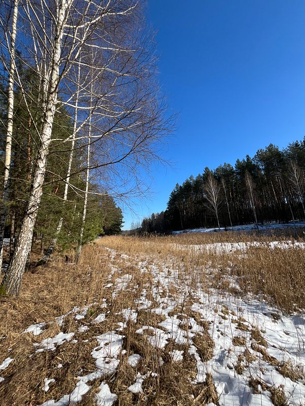 A scenic winter landscape featuring a path through a snowy field bordered by trees.