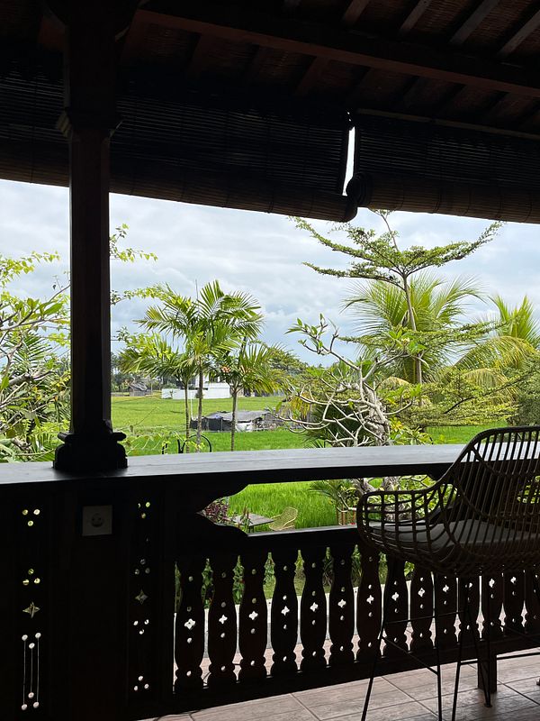 A serene view from a balcony overlooking lush greenery and rice fields.