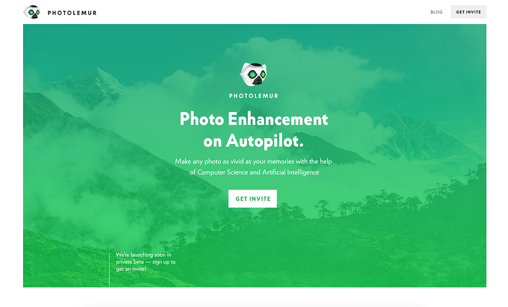 Photolemur