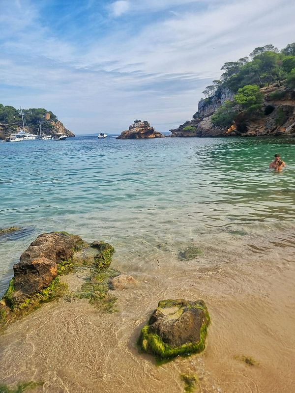 A serene beach scene featuring clear water, rocky formations, and a person swimming.