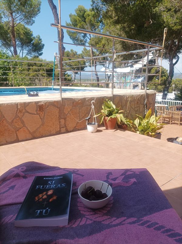 A relaxing outdoor scene featuring a book, a bowl of cherries, and a poolside view.