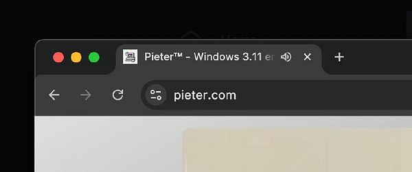 The image displays a web browser interface showing the website 'pieter.com' with a vintage Windows 3.11 theme.