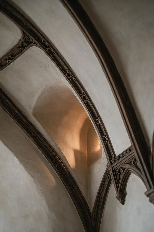 An upward-looking view of a Gothic interior vault with pointed arches and dark carved stone ribs crossing a pale plaster ceiling. Warm light washes across the curved surfaces, highlighting the ornate tracery and the contrast between the heavy structural lines and smooth wall finish.