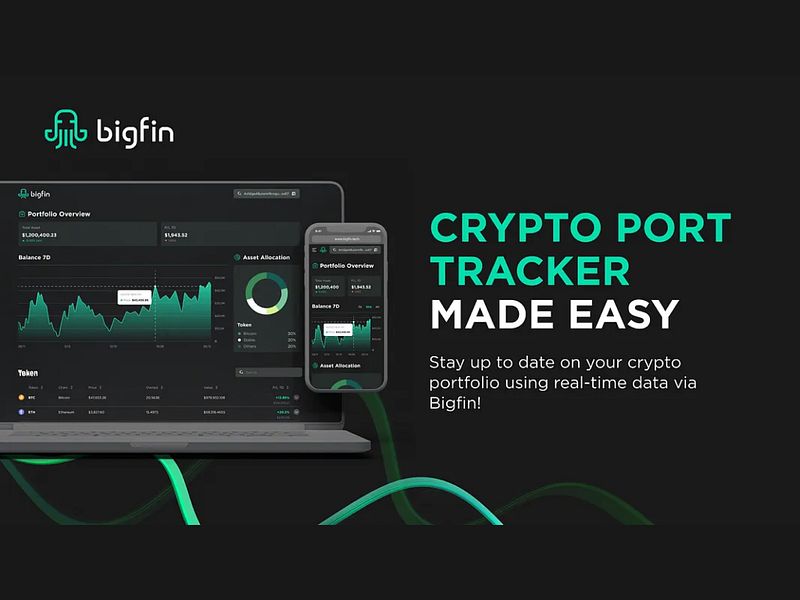 Bigfin Finance