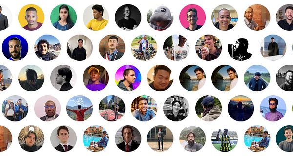 User interface for classifying avatars and hiding logos in a web app filter settings.