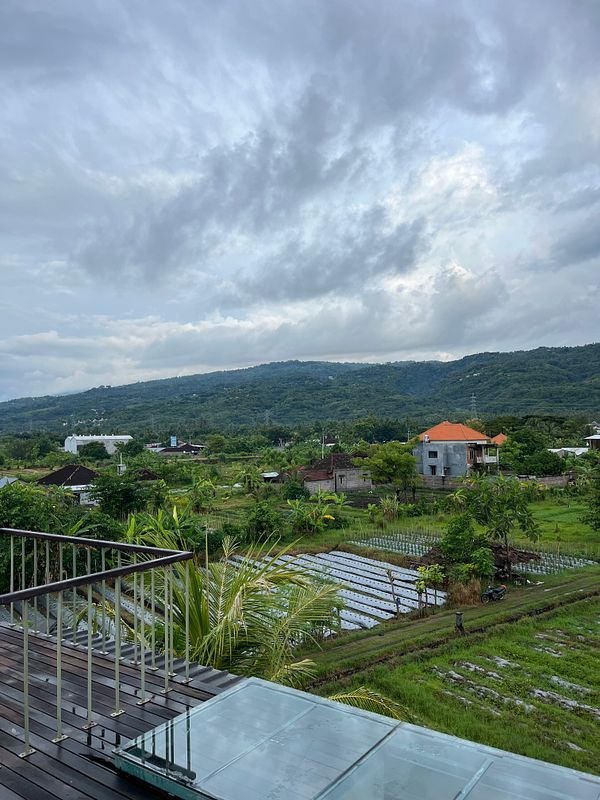 A scenic view of lush green fields and distant mountains under a cloudy sky.