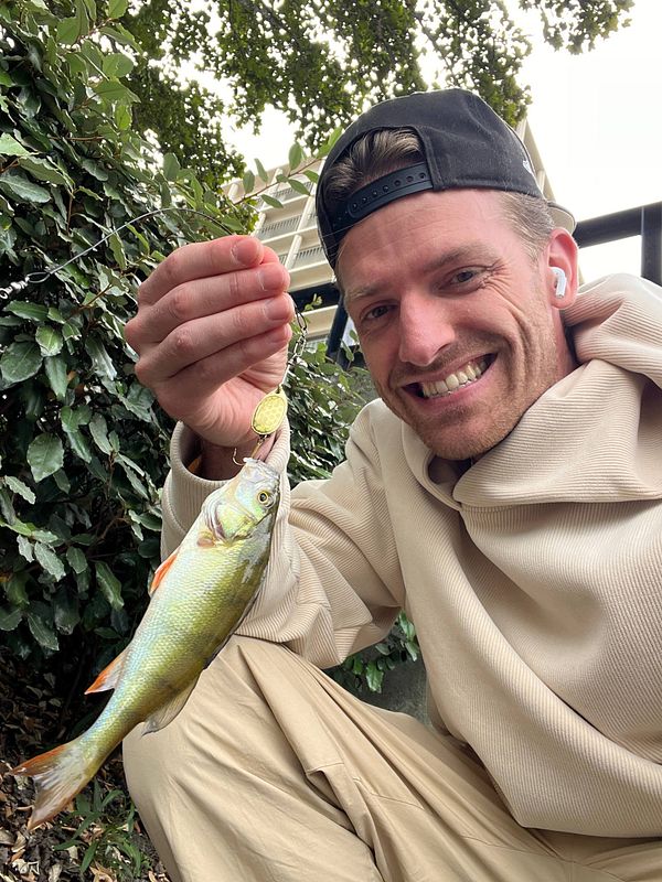 A person proudly holds a freshly caught perch fish while smiling.