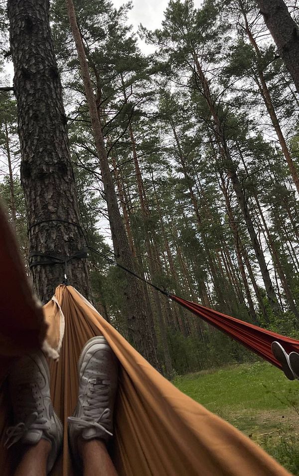 A person relaxing in a hammock surrounded by tall trees in a forest.