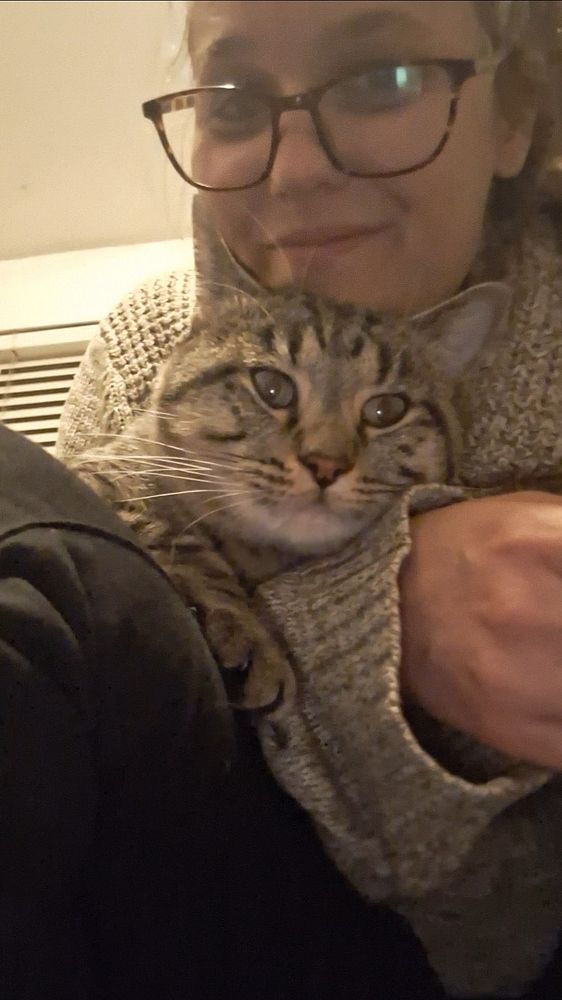 A person is cuddling a tabby cat, both looking content.