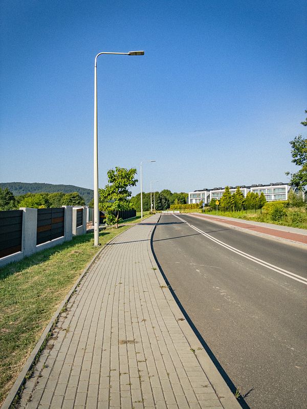 A serene morning view of a nature trail surrounded by lush greenery and trees under a clear blue sky.