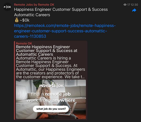 Screenshot of a Telegram chat showing a job alert channel posting a job listing and a pinned message about automated alerts.