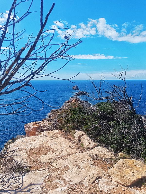 A scenic coastal view featuring rocky terrain and a distant island under a clear blue sky.
