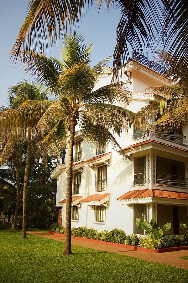 A tropical scene featuring a white building surrounded by palm trees and lush greenery.