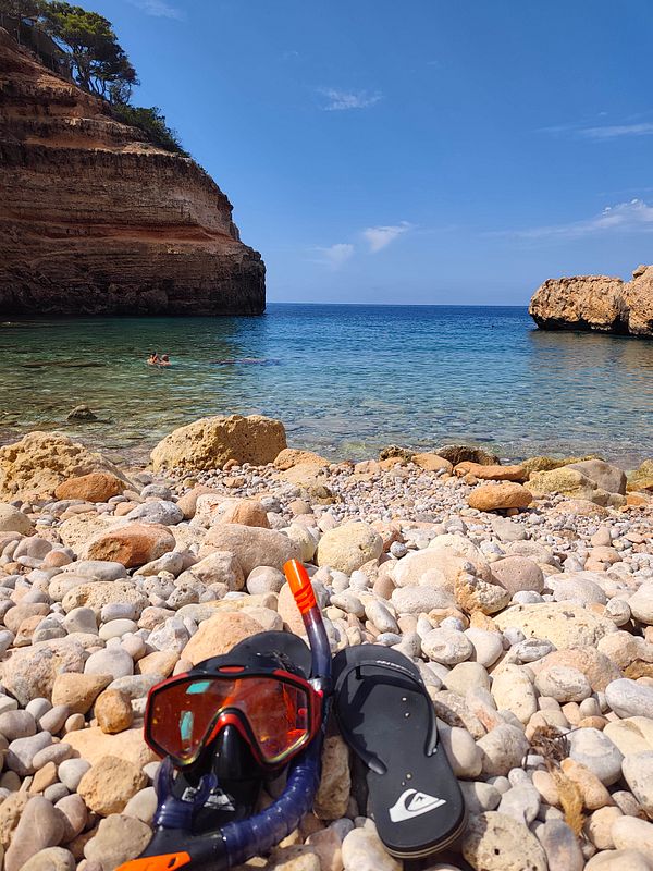 A snorkeler floats on crystal clear water teeming with vibrant corals and colorful marine life under a clear blue sky.