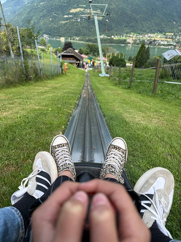 A view from a summer toboggan ride, showcasing the track and surrounding landscape.