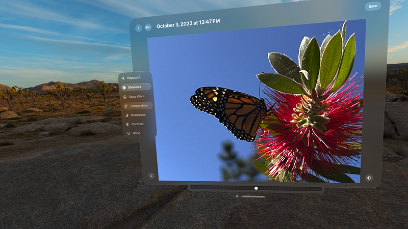 Screenshot of Bloom - RAW Image Editor