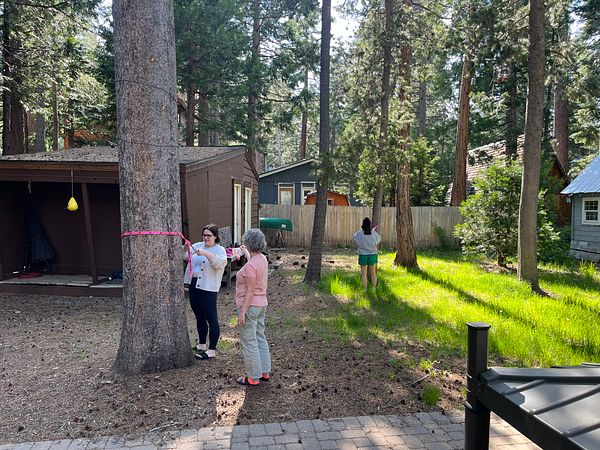 A group of three people is engaged in an outdoor activity in a forested area near a cabin.