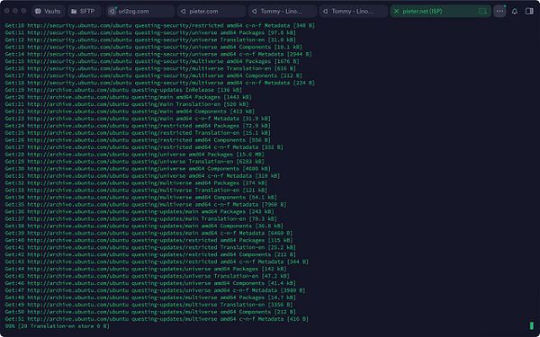 A screenshot of a web terminal interface showing Linux command execution and network information.
