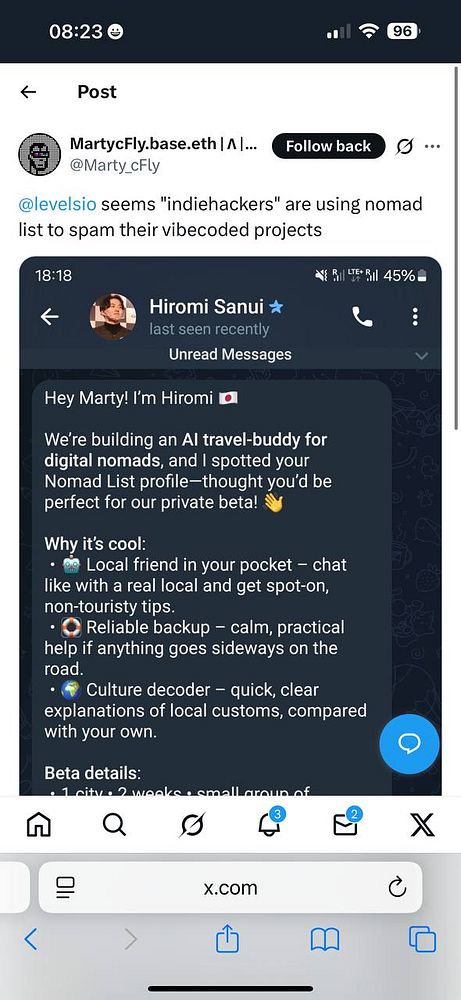 A screenshot of a messaging app conversation discussing a travel buddy service for digital nomads.