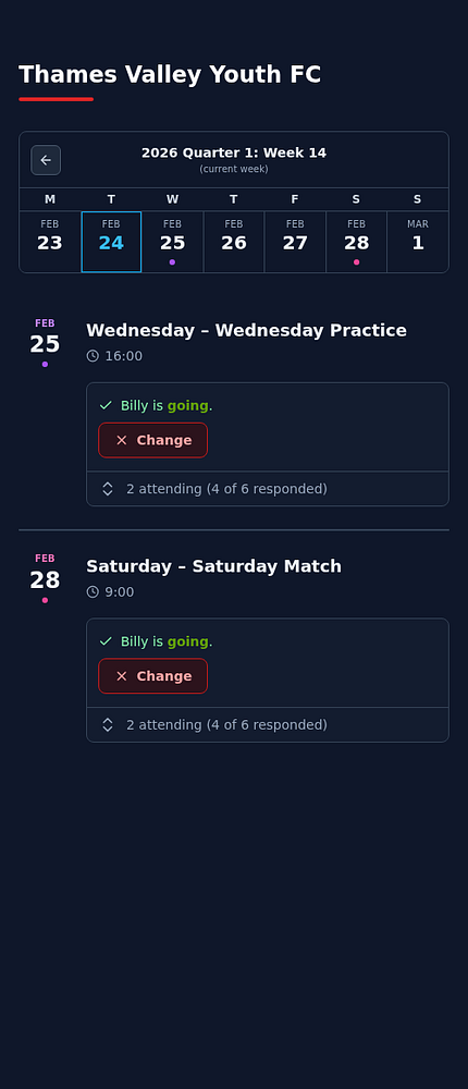 Screenshot generator user interface showing options to capture and preview screenshots of web content with controls for zoom and layout toggle.