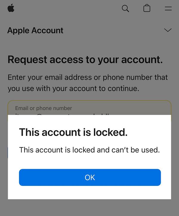 The image displays a locked Apple account notification on a web interface.