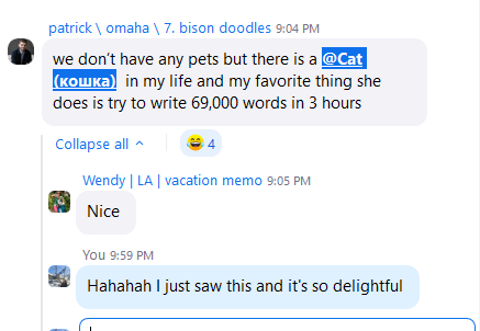 A chat conversation discussing a humorous comment about a cat's writing abilities.
