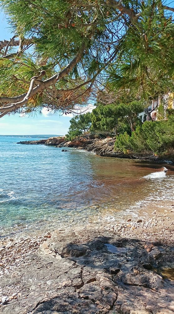 A scenic, mountainous landscape with colorful autumn foliage beside a serene lake under a bright blue sky.
