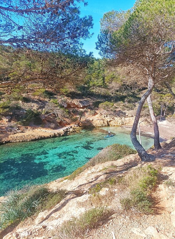 A scenic view of a tranquil cove surrounded by trees and clear turquoise water.