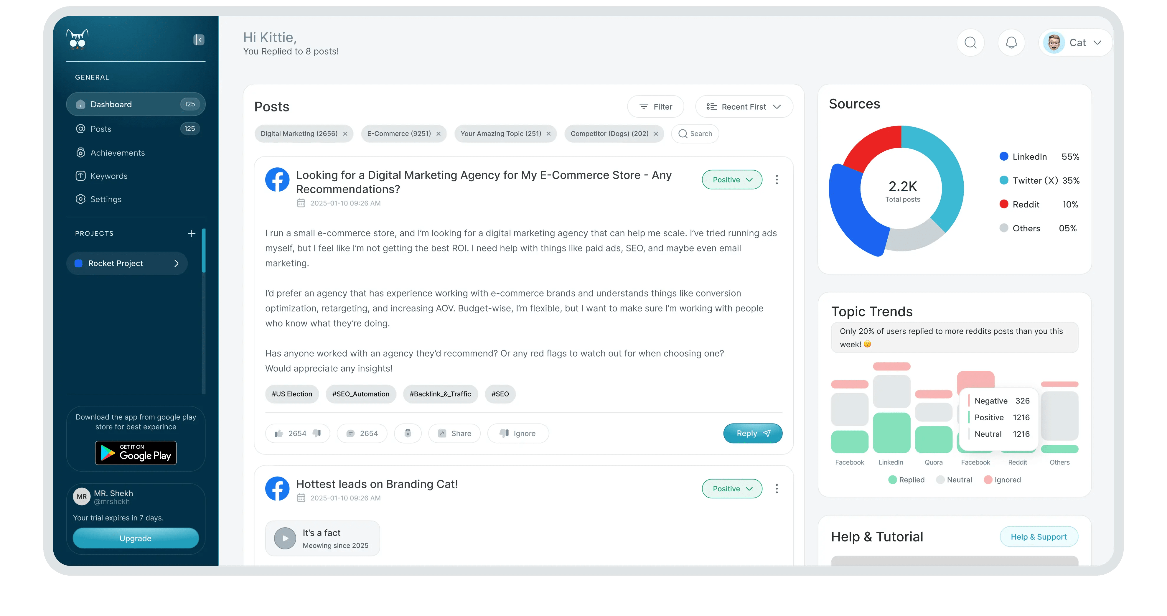 Branding Cat: Track brand mentions and respond faster with