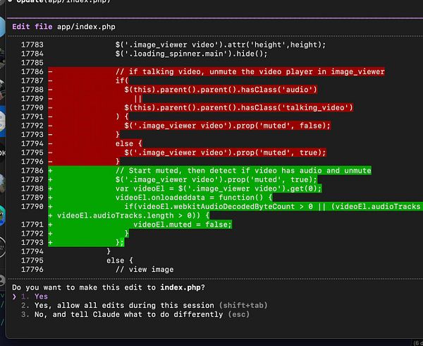 The image displays a code snippet from a PHP file that handles video audio detection and playback settings.