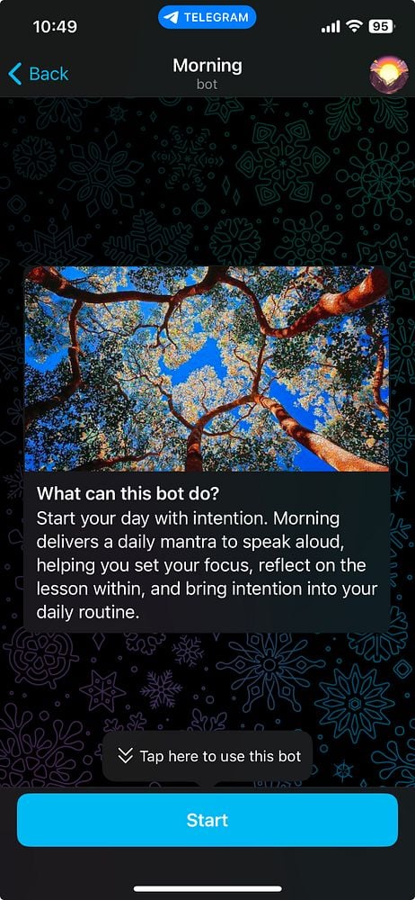 A Telegram bot interface titled 'Morning' with a vibrant nature-themed background.