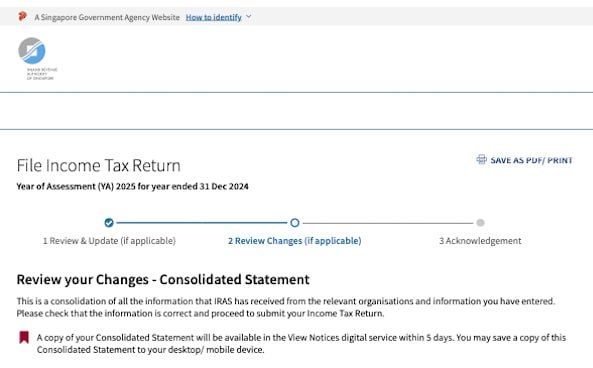 The image displays a webpage for filing an income tax return with the IRAS.