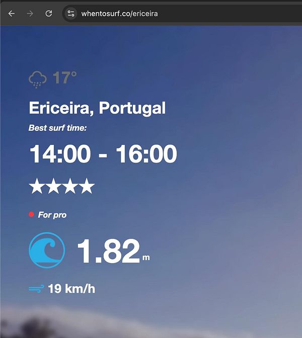 Screenshot of a web interface showing a startup profile for 'whentosurf.co' with various tabs and a project list.
