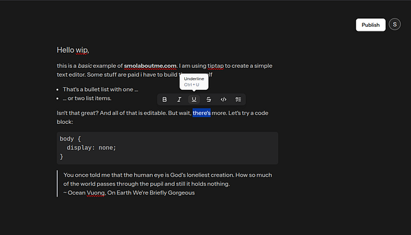 The image displays a text editor interface showcasing a draft for a website.