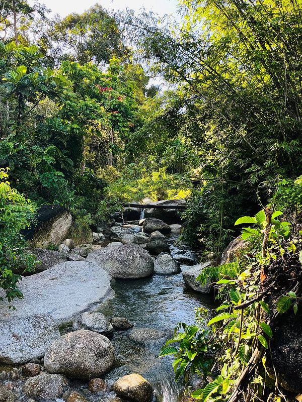 A serene river scene surrounded by lush greenery and large rocks.